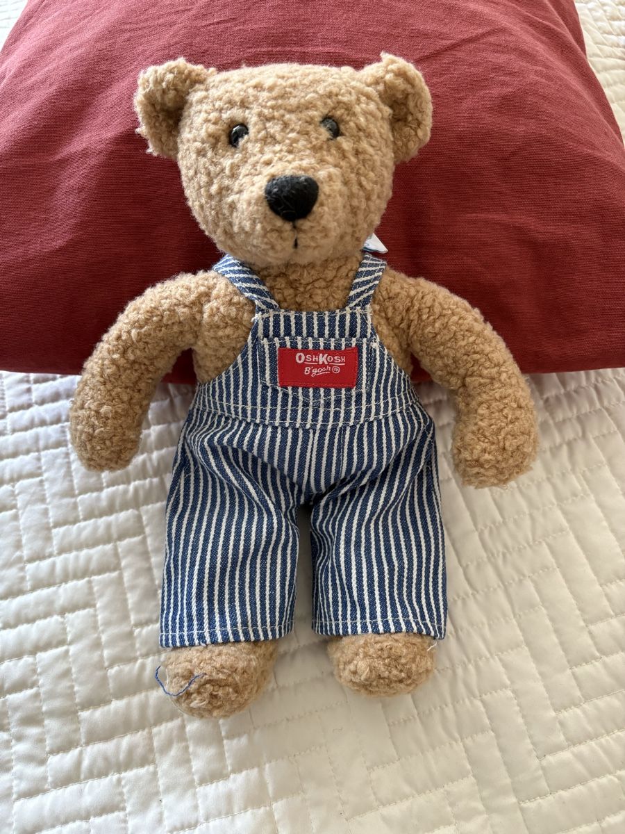Jouets: OshKosh B'gosh Teddybär Stofftier – D'occasion à Zürich par fioredivita