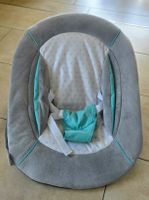 Hauck alpha bouncer 2 in 1