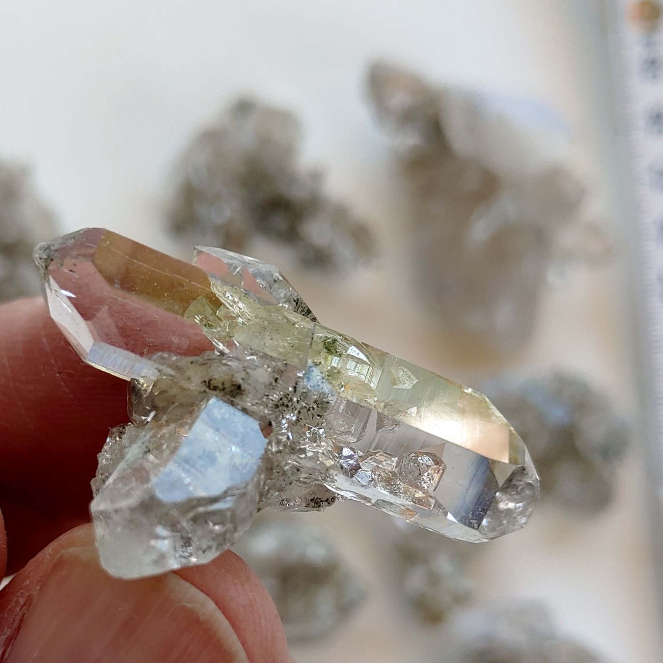 Minerali & Pietre curative: Stücklein - aus Eigenfund im Kt. Uri – Nuovo e nell'imballaggio originale da Steinhausen venduto da Kristall022 3