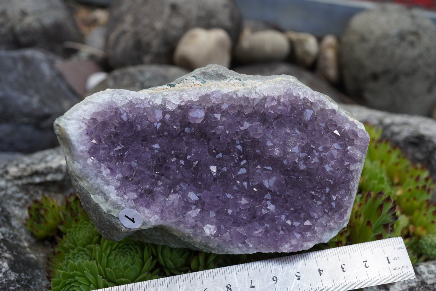 Minerali & Pietre curative: Amethyst Drusen Stück  ca 13cmx 8cm    no1 – Nuovo e nell'imballaggio originale da Eschenbach SG venduto da topstone 4