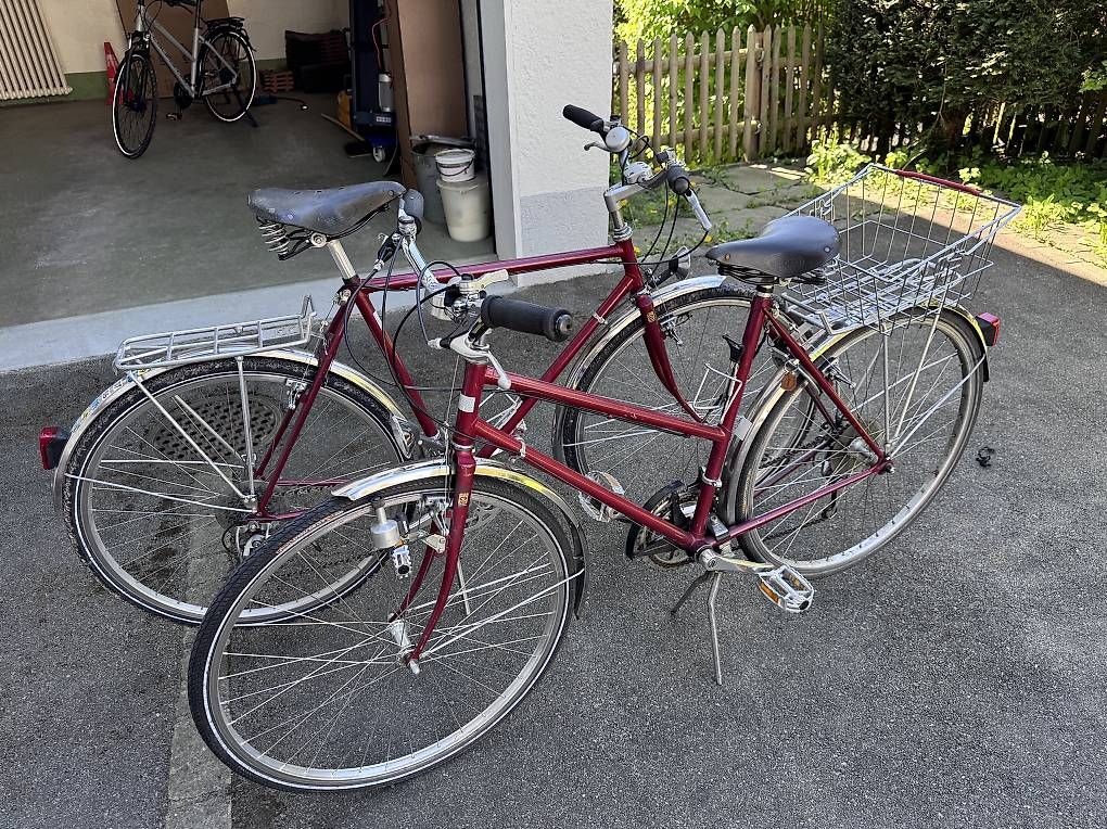 Biciclette: Damen- und Herrenvelo – Usato da Zollikon venduto da Joewei