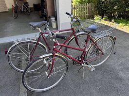 Damen- und Herrenvelo