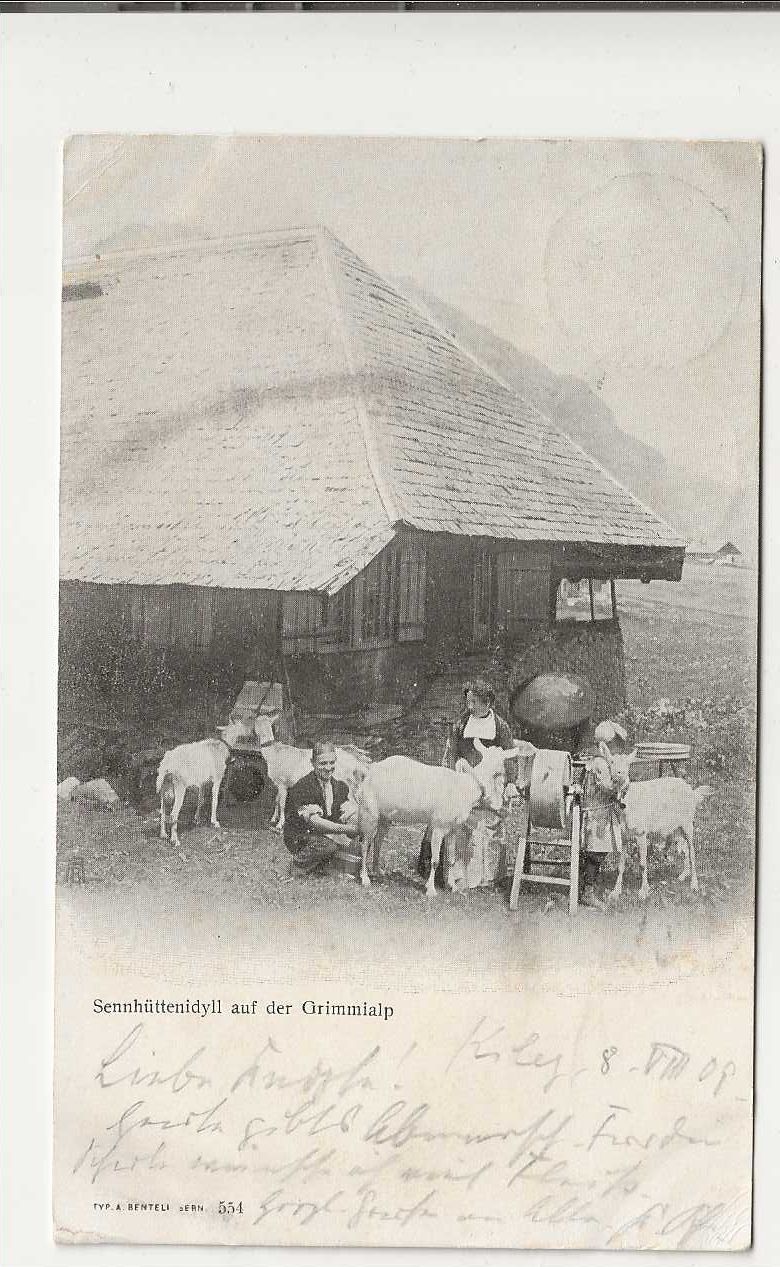 Cartoline postali: Grimmialp, Diemtigtal, 1908 – Usato da Spiez venduto da Niesen20