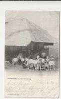 Grimmialp, Diemtigtal, 1908
