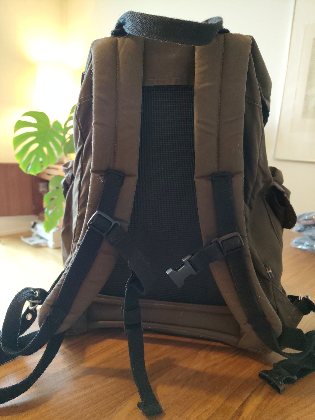 Zaini: Fjällräven Rucksack olive/braun – Usato da Zürich venduto da betzec 3