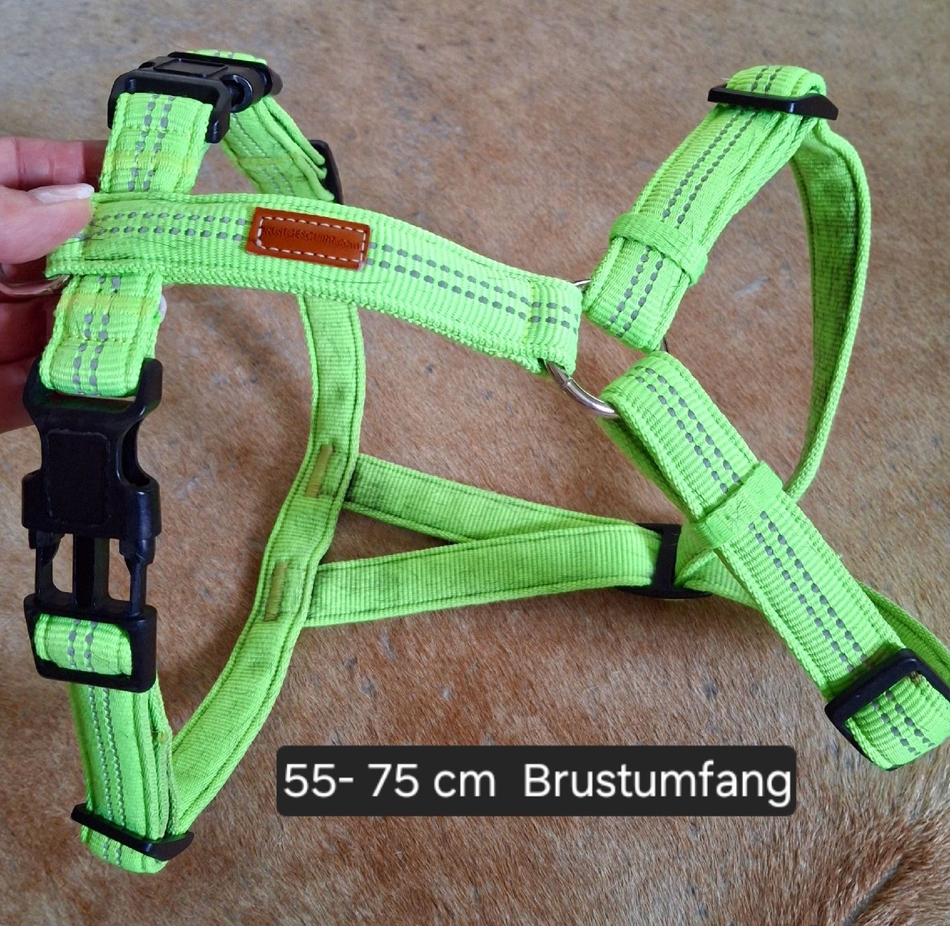 Guinzagli & Collari: Hundegeschirr – Usato da Aadorf venduto da esq_xj7z