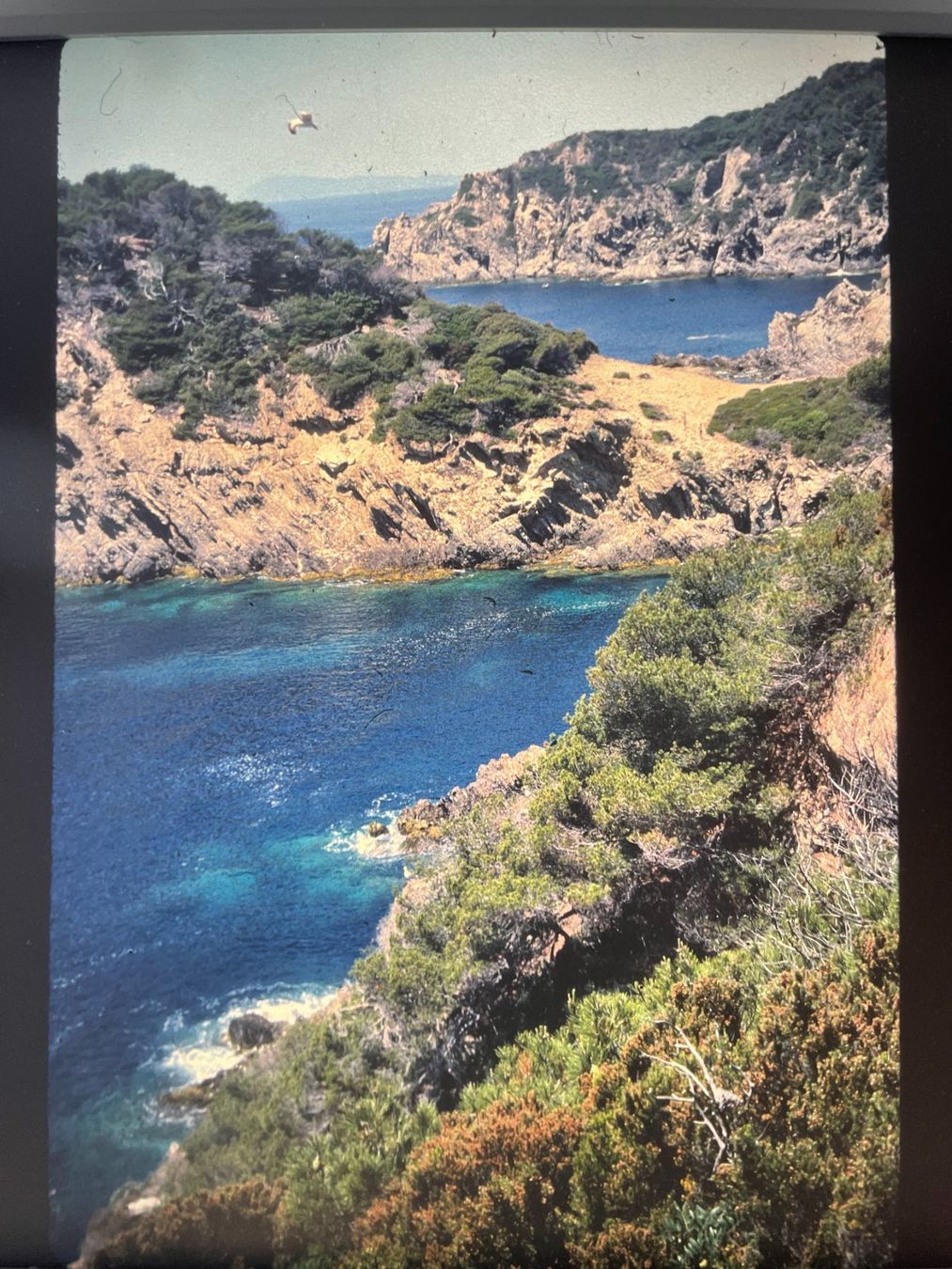 Poster & Bilder: 27 diapositives Var 1987 – Gebraucht aus Petit Lancy von gil_hr6v 3