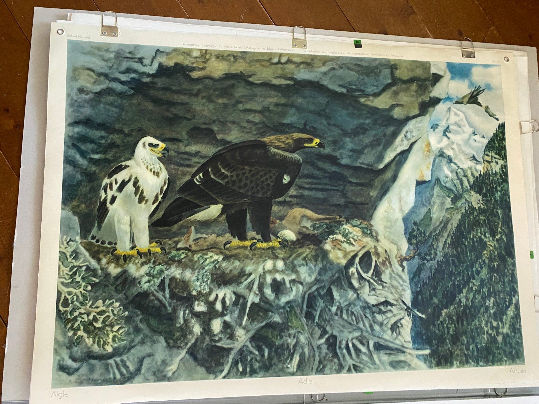 Posters & Illustrations: Diverse Schulwandbilder und Kunstdrucke – D'occasion à Bern par Huglimat 5