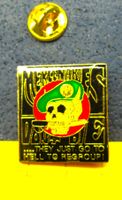 US ARMY PIN GLASIERT GOLDIG