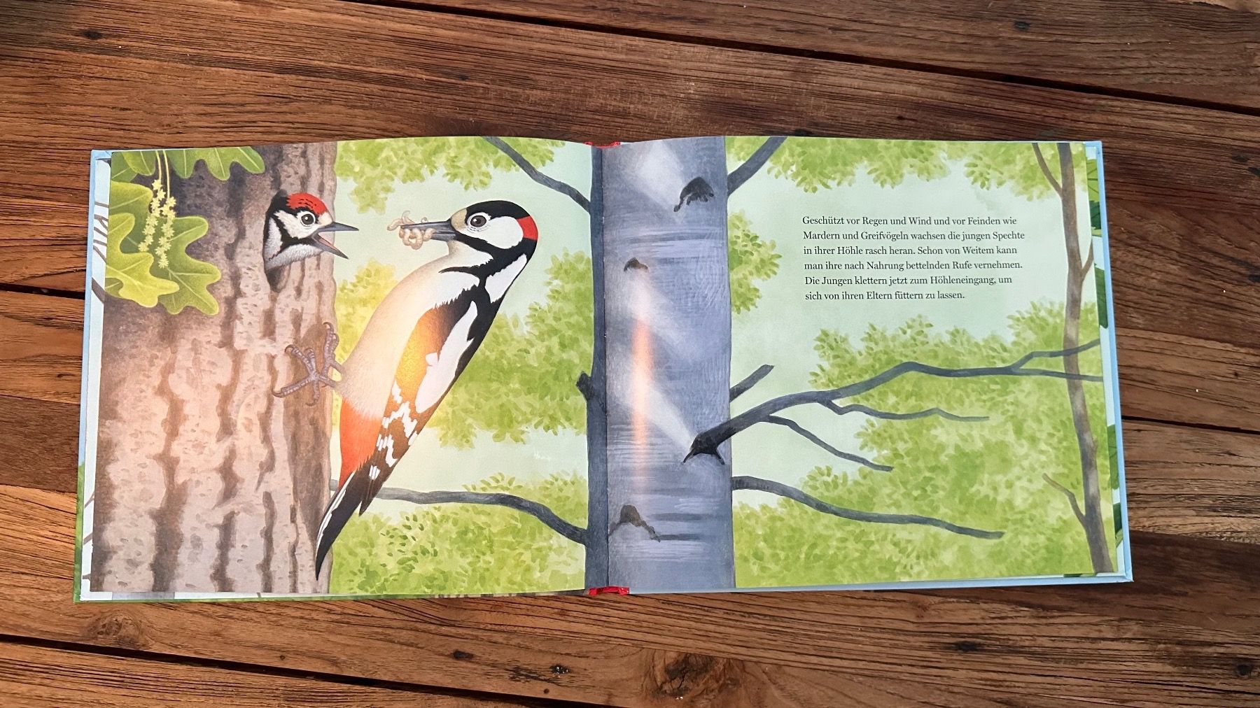Libri: Ein Jahr mit den Buntspechten – Usato da Dübendorf venduto da TojaRose 2