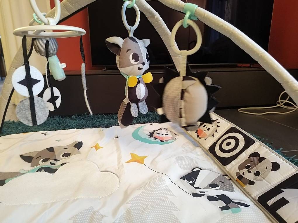 Spielzeuge: Spielbogen – Gebraucht aus Seewen SZ von JaaX 1