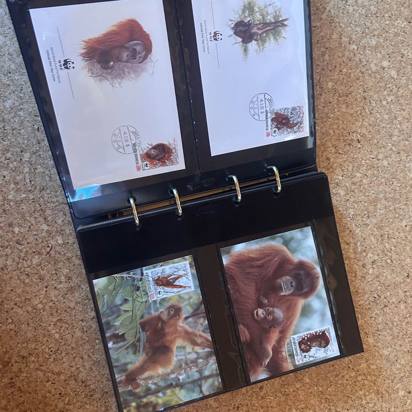 WWF Album: WWF Briefmarkenalbum TIERE – Usato da Laufen venduto da belleskulptur 4