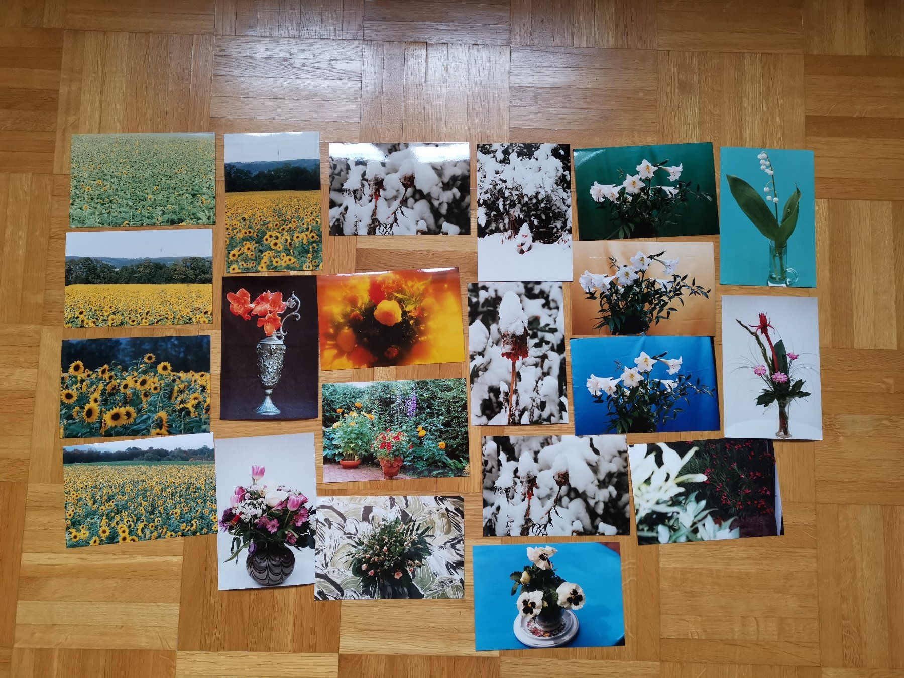 Karten: 21 Foto Karten, Blumen – Neu (gemäss Beschreibung) aus Dornach von Hei50