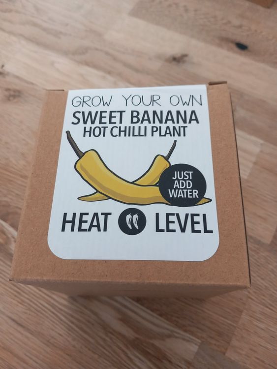 Pflanzen Samen Sweet Banana HOT Chilli. TOLLE GESCHENKIDEE | Kaufen auf ...