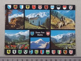Saas Fee, Wallis, Murmeltier, 1994, Alphubel, Kantonswappen