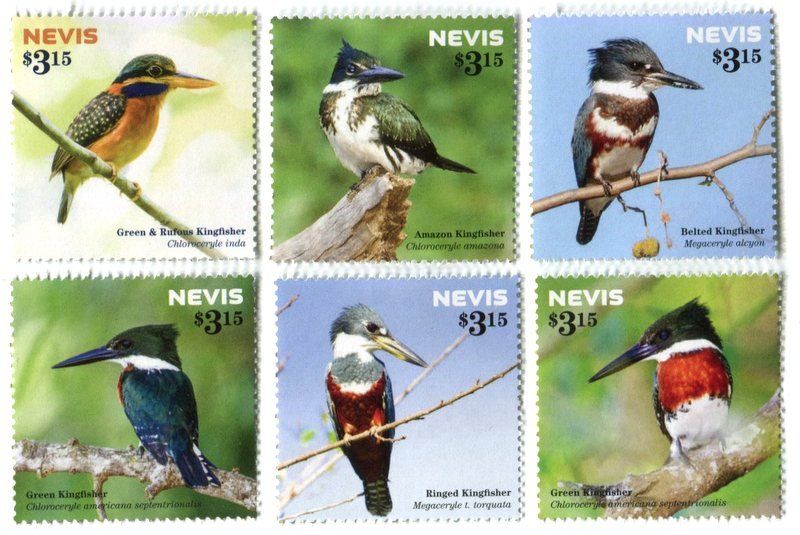 Alle Briefmarken: Briefmarken "Eisvögel". Nevis. – Neu und originalverpackt aus Basel von Butsch5