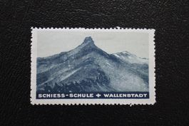 Schiess-Schule +  Wallenstadt Soldatenmarke