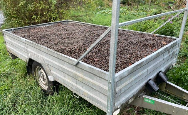 Materiale di riempimento: Leca - Blähton – Usato da Möriken AG venduto da suebistef