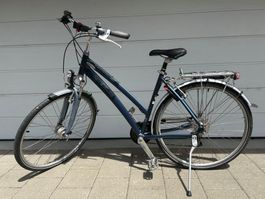 Damen City-Bike Wheeler Alterra 4.5