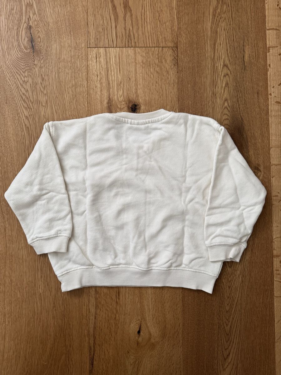 Zara Maglioni & Felpe: Zara Kids - Pullover, Gr. 98 – Usato da Interlaken venduto da fbnscl 2