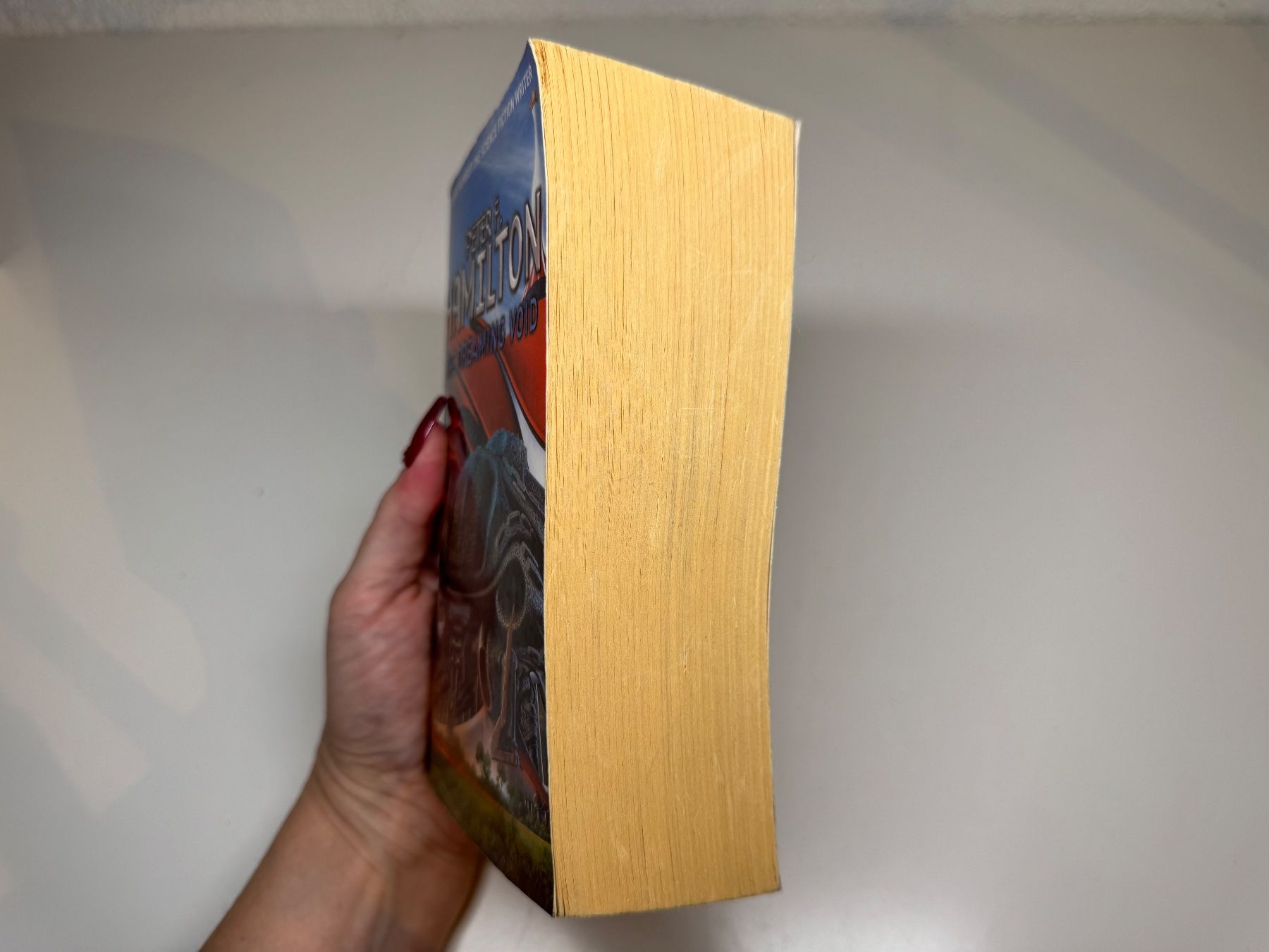 Libri: NOVEL: Peter F. Hamilton, The Dreaming Void – Usato da Grosswangen venduto da English_books 1