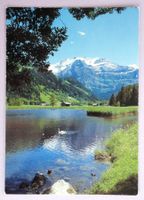 Lenk, Lenkerseeli mit Wildstrubel