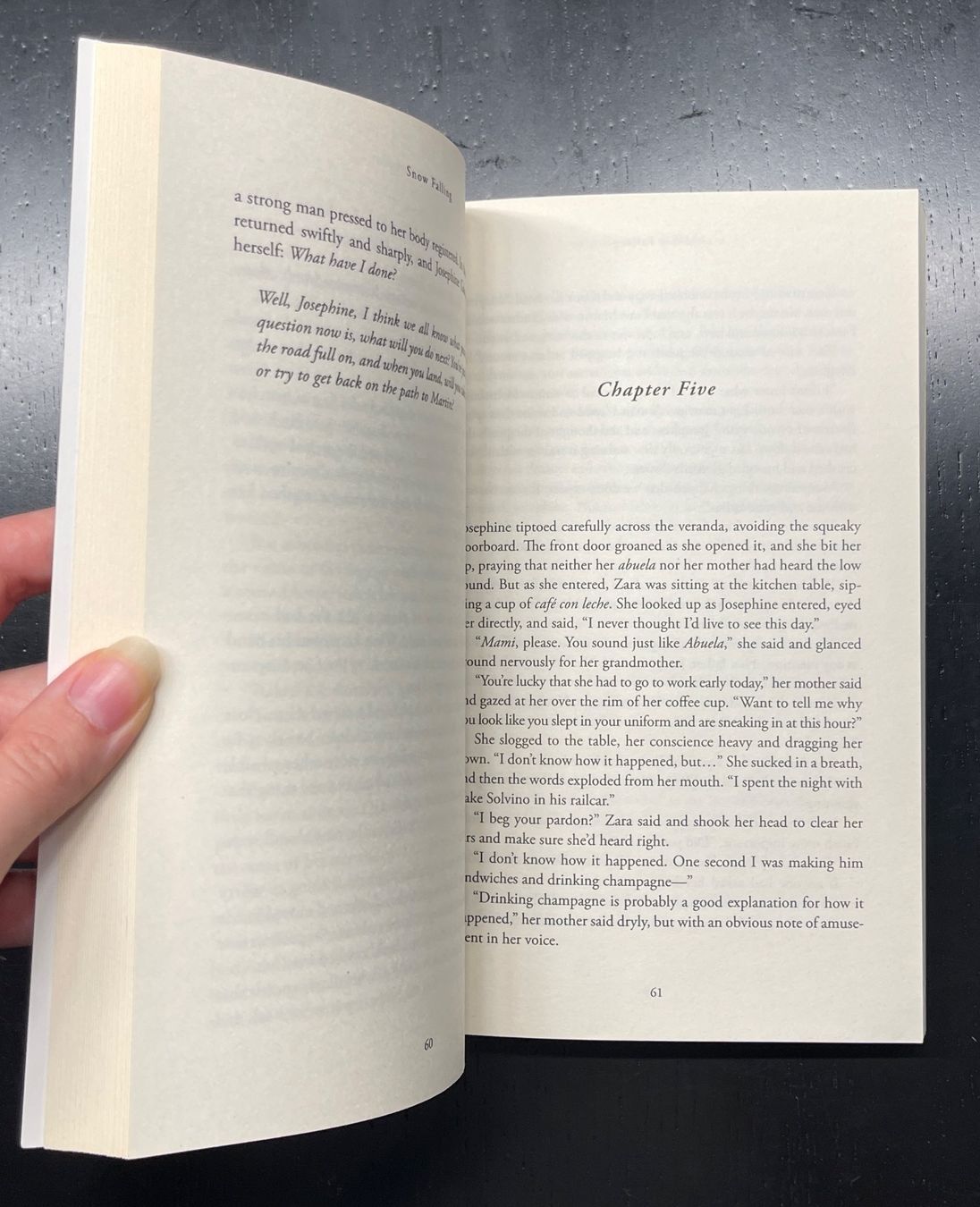 Libri: Snow Falling - Jane Gloriana Villanueva – Usato da Luzern venduto da Mcleon 2