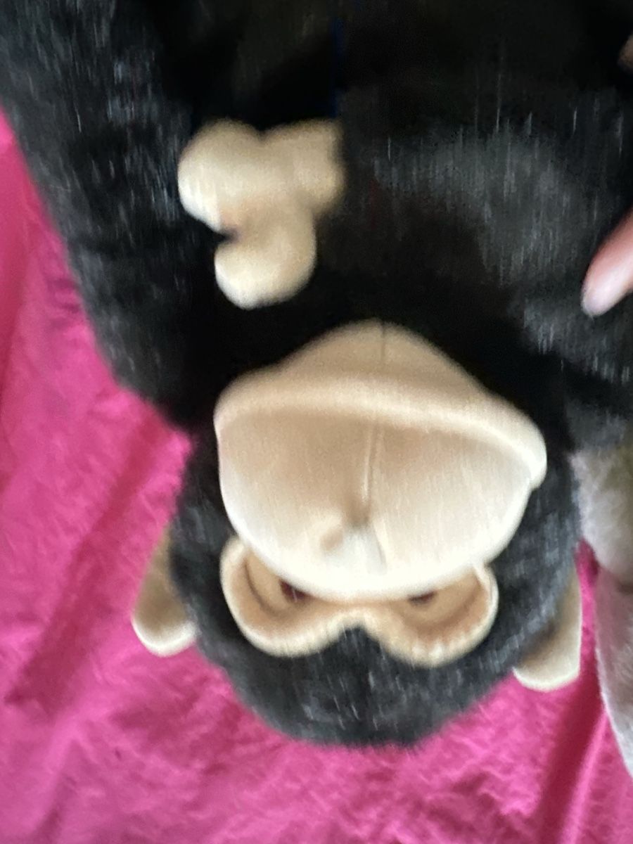 Spiele: Peluche SET  – Gebraucht aus Uster von bek_v2ct 1