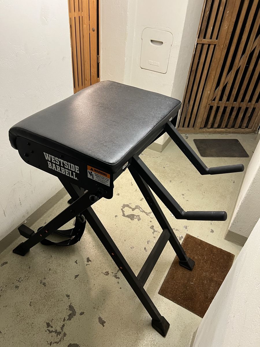 Rogue Hometrainer: ROGUE WESTSIDE SCOUT HYPER - Krafttraining – Usato da Thun venduto da nightshift007 3