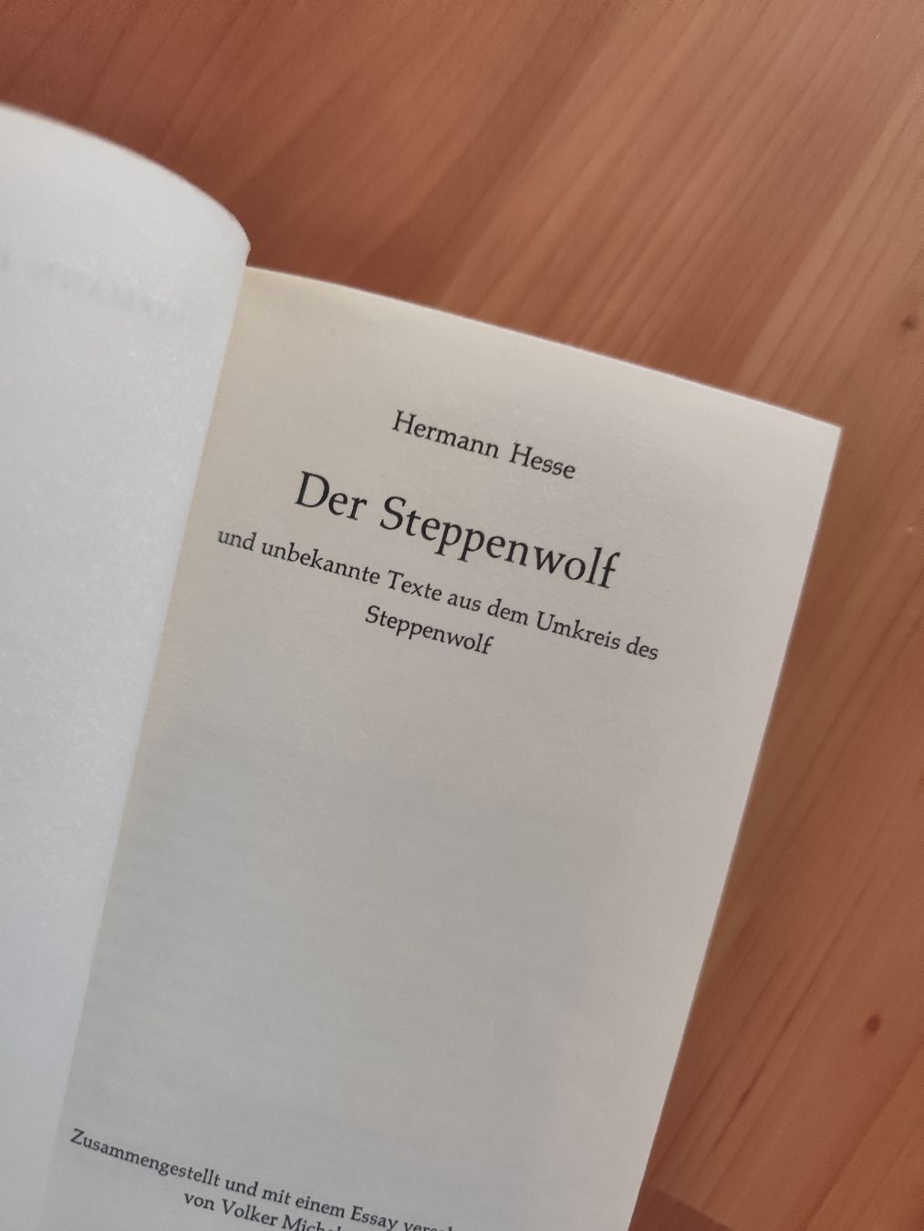 Livres: Buch Der Steppenwolf Hermann Hesse – D'occasion à Mägenwil par VintageGirly 4