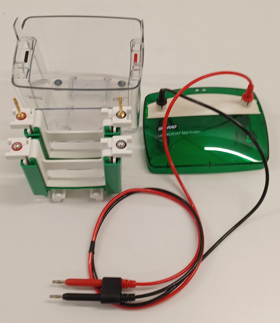 Accessori da laboratorio: Bio-Rad Mini PROTEAN Tetra Cell – Difettoso da Niederdorf venduto da LeptonAG_Labor 4