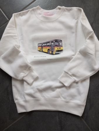 Pulli Saurer