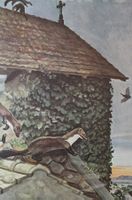 Schulwandbild "Steinmarder" R. Hainard