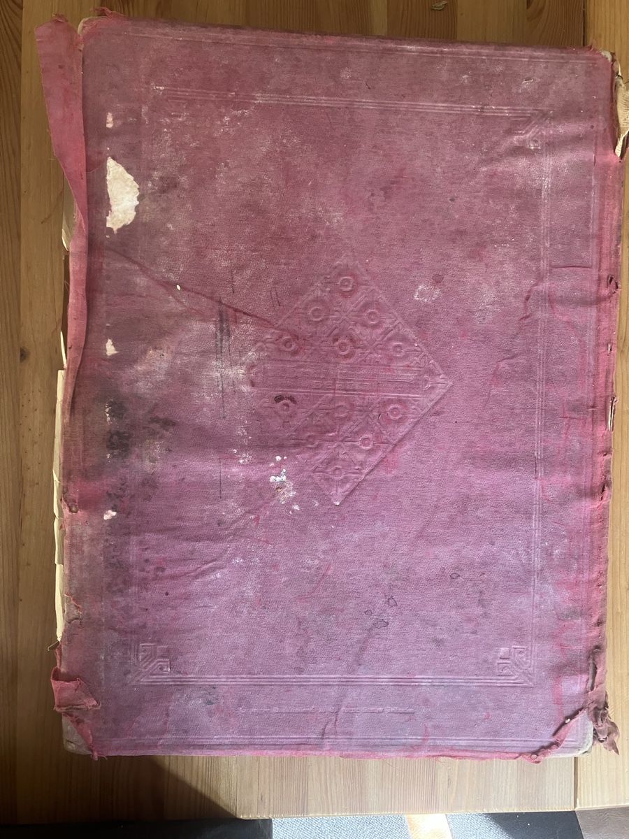 Libri: Antike Bibel 1909 | Bible – Difettoso da Zürich venduto da nos_2msr 1