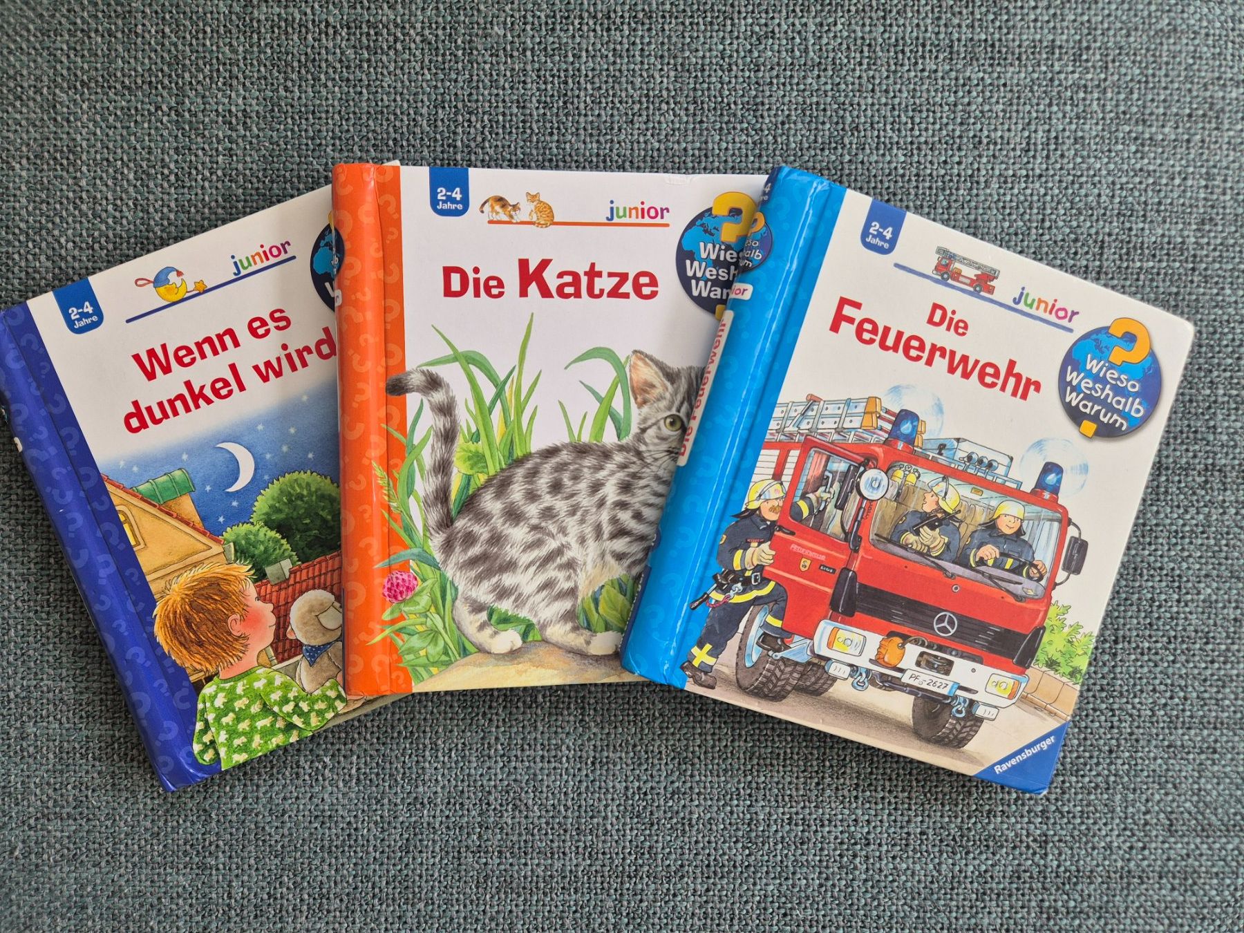 Libri: Kinderbücher – Usato da Reinach BL venduto da StephanBG