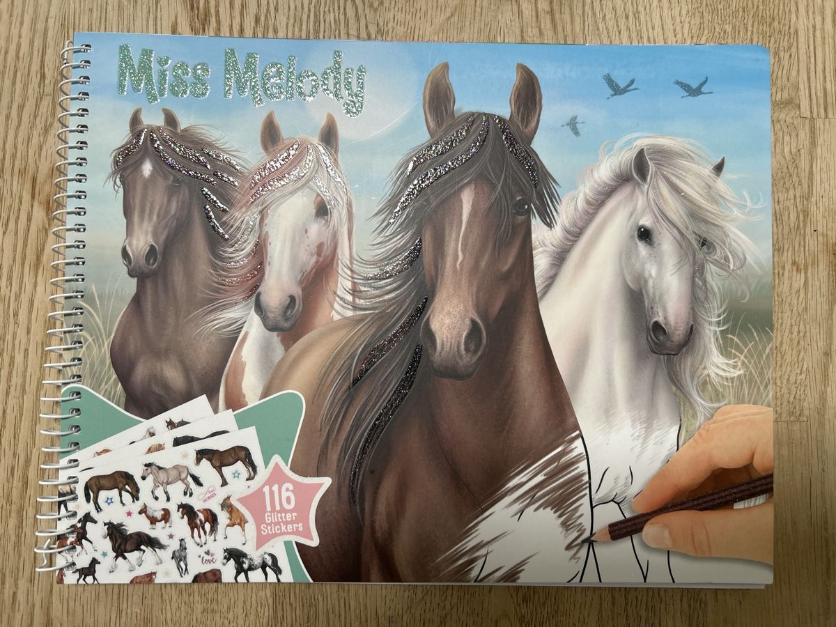 Libri: Stickerheft / Malheft Pferd – Nuovo (secondo la descrizione) da Lostorf venduto da Venice16