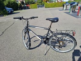 Fahrrad Leopard Street CAT mit Gepäckträger Herren