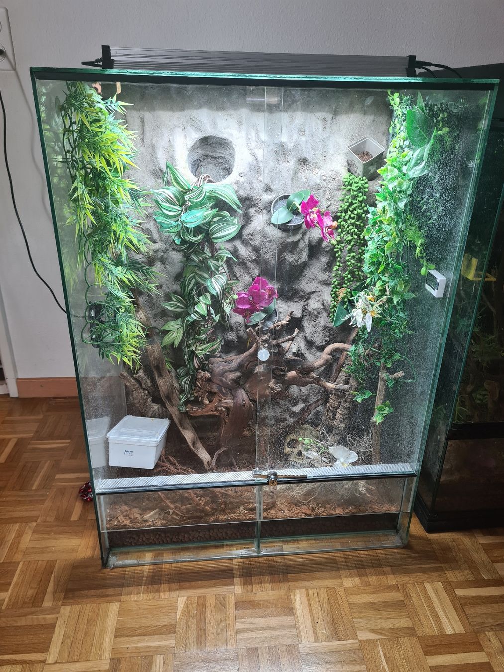 Terrario: Terarium  – Usato da Alchenflüh venduto da mar_85bk