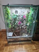 Terarium 
