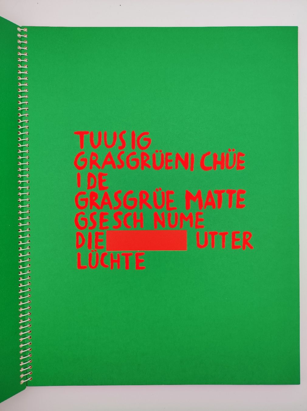 Bücher: ARTISTS BOOKS - EGGIMANN - BURI - CHÜE – Gebraucht aus Goldach von Gaip 6