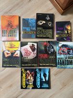 Lot de 10 livres CHERUB de Robert Muchamore, bon état