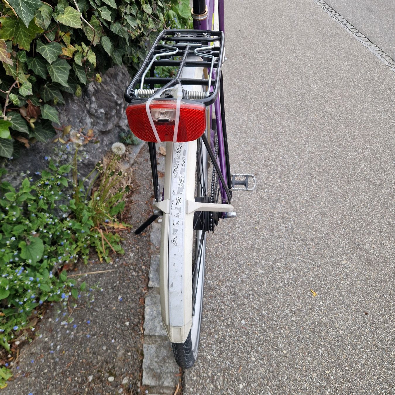 Scott Velos: Scott Sub 10 Damen Velo Nabenschaltung – Gebraucht aus Münsingen von Geeskile 5