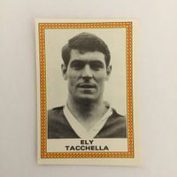 ⚽️ Panini Football 80 -  Ély Tacchella Rarität Neu