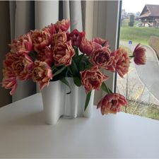 Profile image of Anna0806