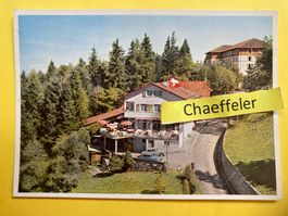 1960 Hotel Zugerberg ob Zug, Terrassen-Restaurant