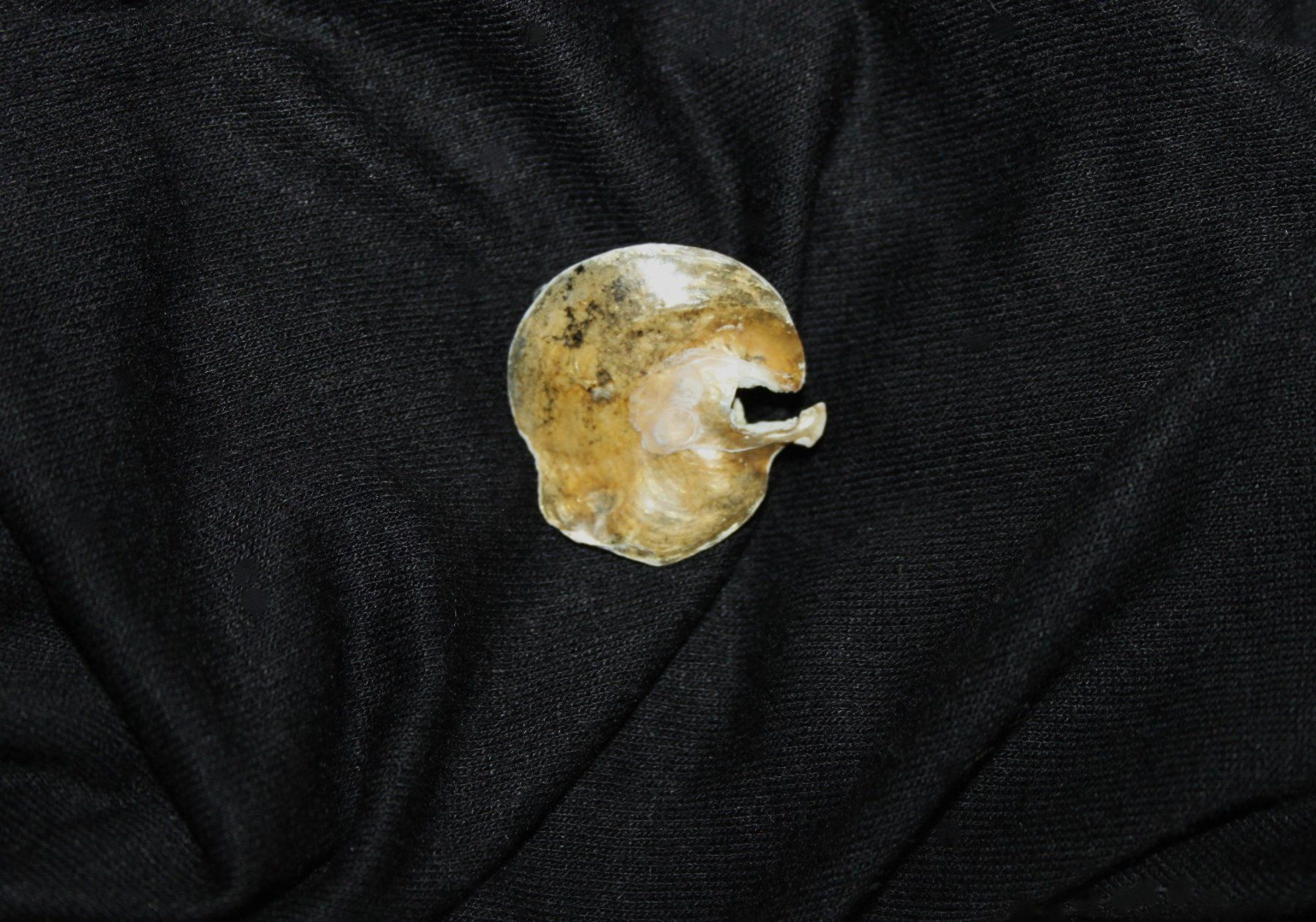 Broches & Aiguilles: Vintage Brosche – D'occasion à Otelfingen par Jupi07