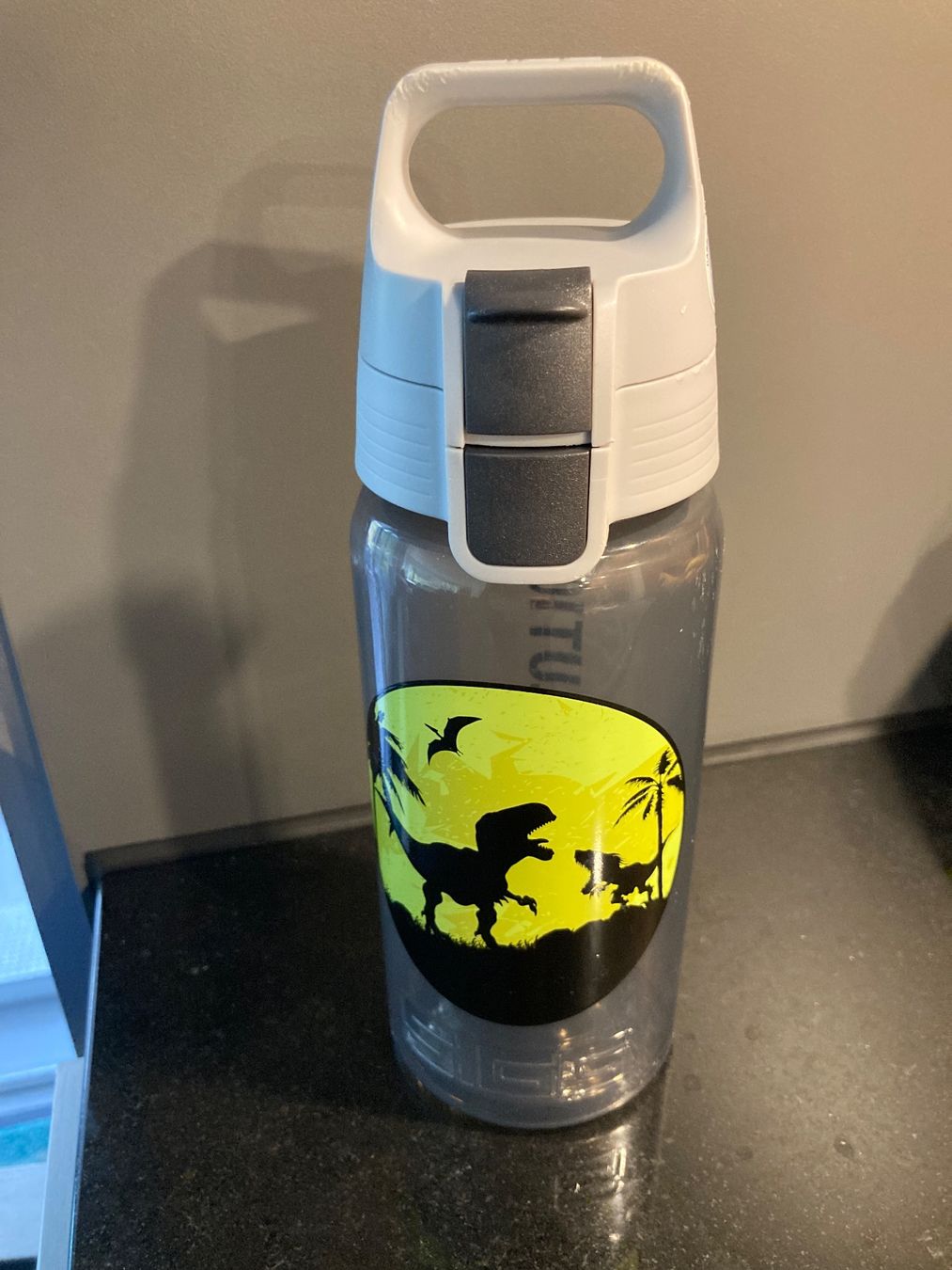 Borracce & Thermos: Sigg trinkflasche – Usato da Bülach venduto da Stellina72