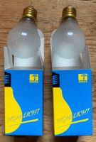 2 Glühlampen 24 Volt E 27 60 Watt