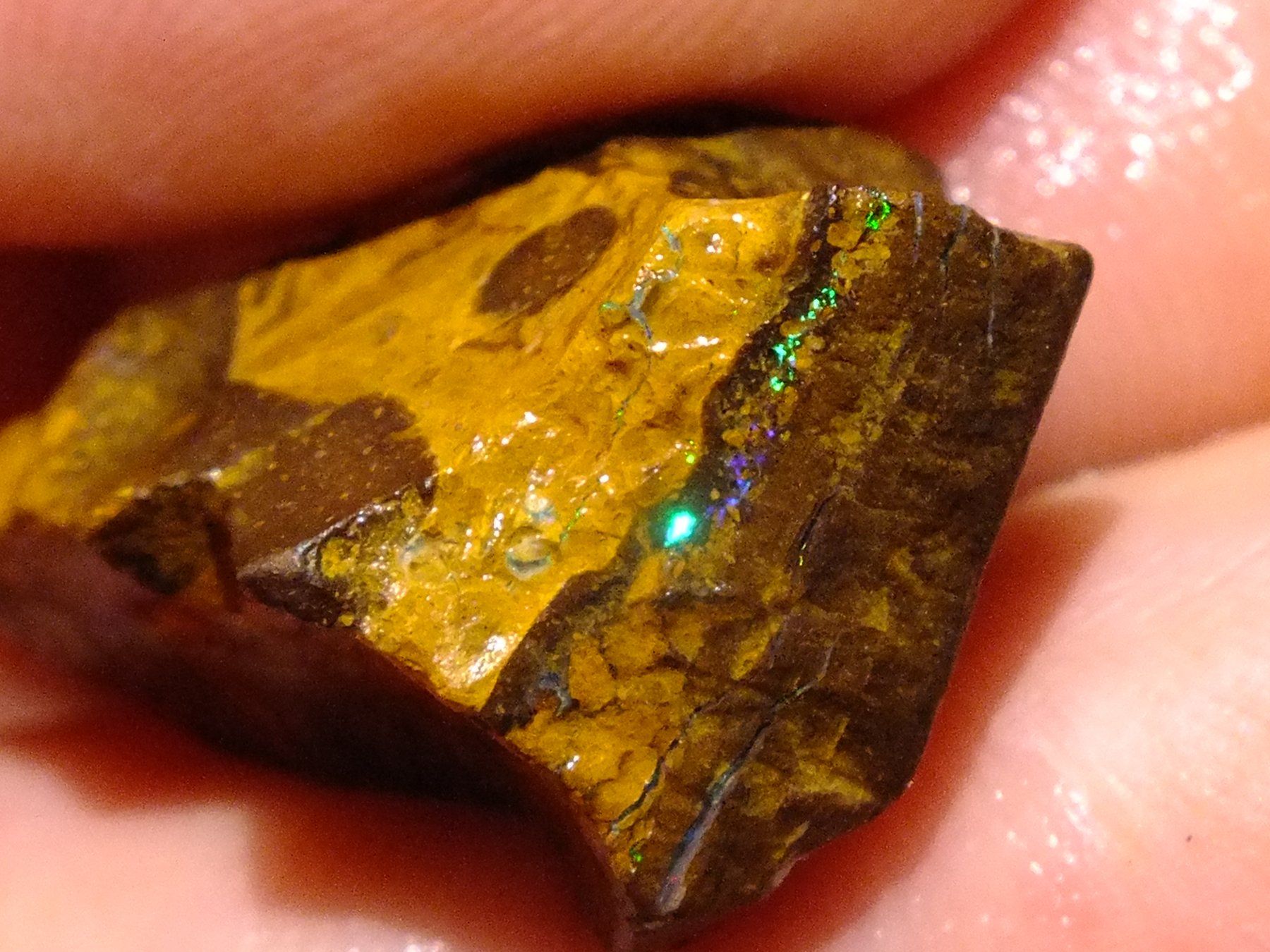 BOULDER ROH OPAL 21.07 Karat Gebot 1.- Grün feuer (Neu und ...