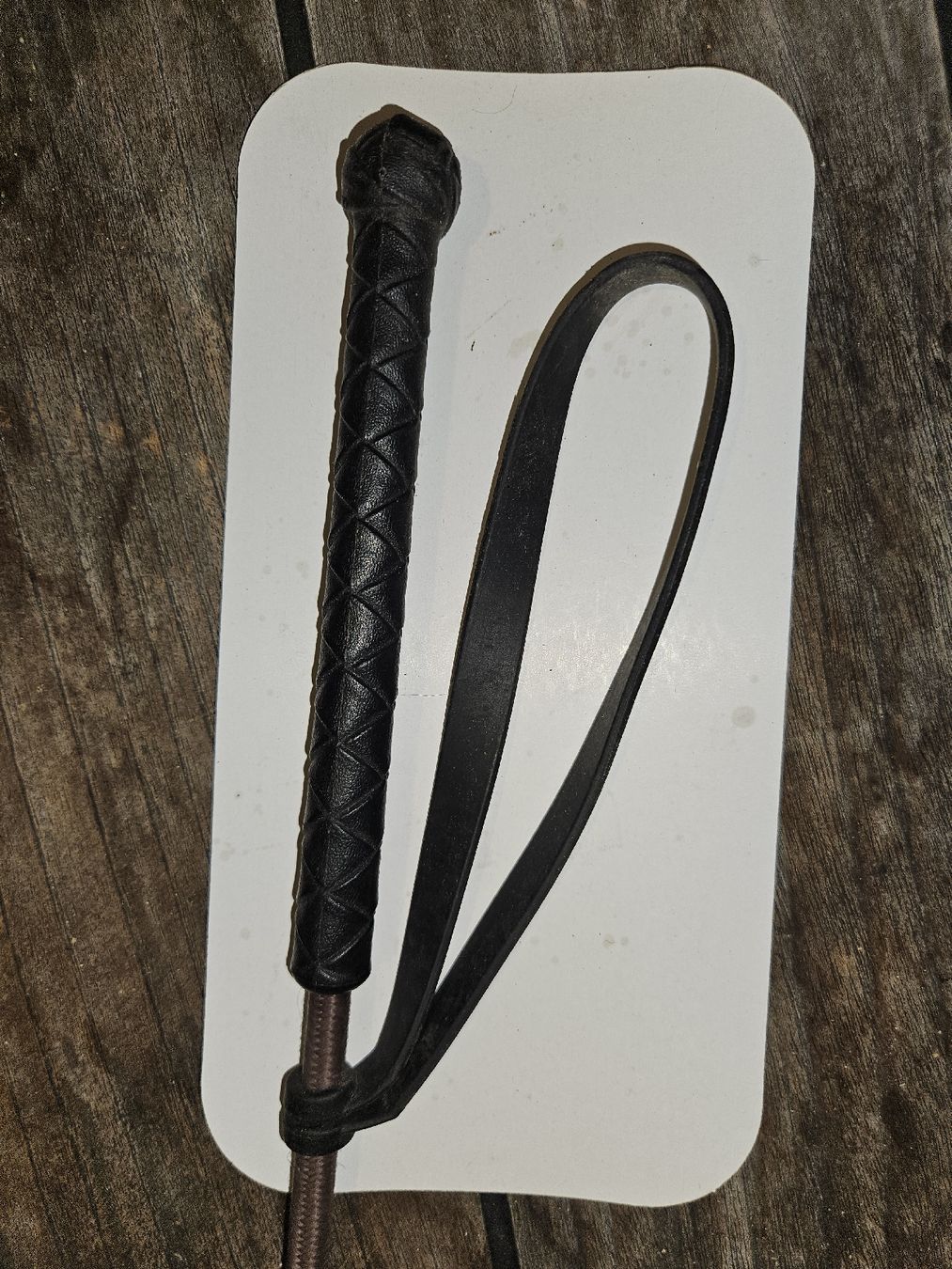 Altro in Accessori per animali: Reitgerte mit Handschlaufe für Freizeit oder Turniere – Usato da Solothurn venduto da Sido.hg7 1